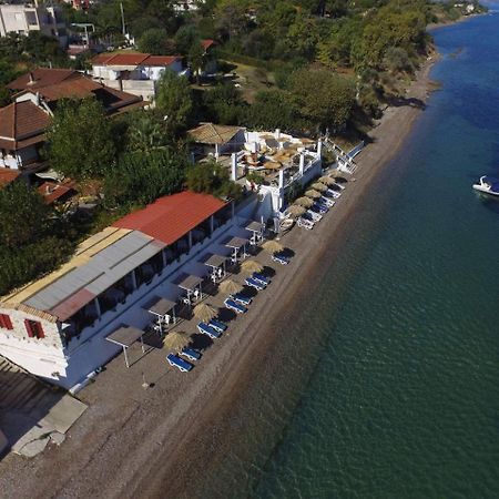 Taradella Hotel Alissos Bagian luar foto