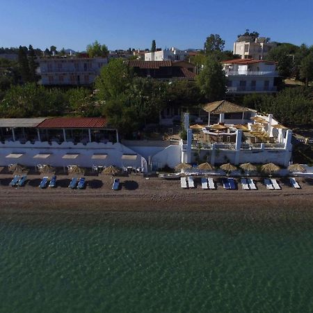 Taradella Hotel Alissos Bagian luar foto